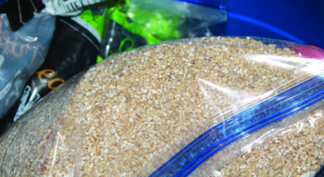 dried grains stored in zip-top plastic bag